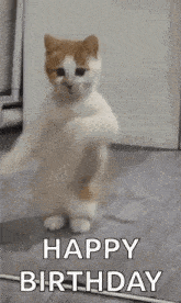Birthday Gif