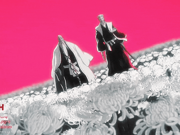 Bleach Gif