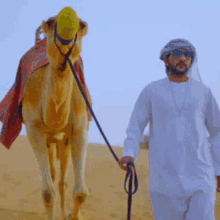 Camel Gif