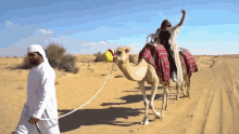 Camel Gif