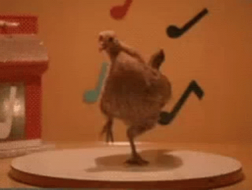 Chicken Jockey Gif