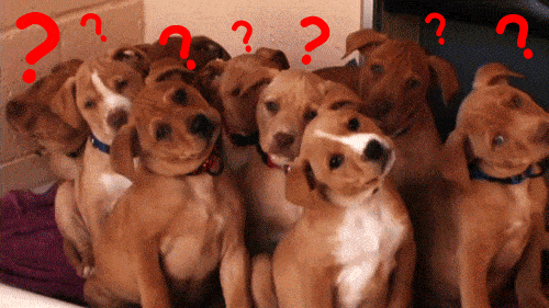 Confused Gif