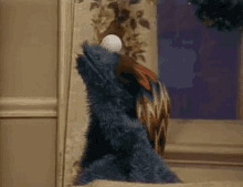 Cookie Monster Gif
