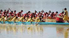 Dragon Boat Festival Gif