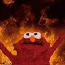 Elmo Gif