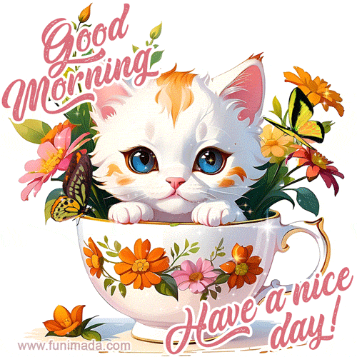 Good Morning Gif