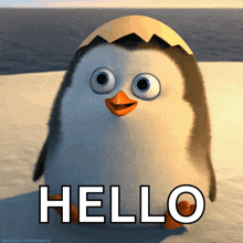 Hi Gif