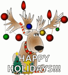 Holiday Gif