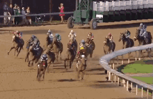Horse Racing Gif