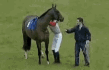 Horse Racing Gif