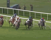 Horse Racing Gif