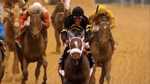 Horse Racing Gif