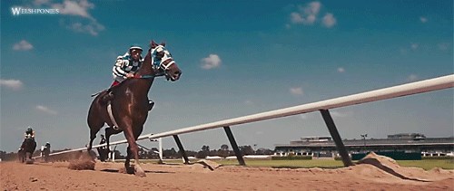 Horse Racing Gif