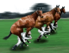 Horse Racing Gif