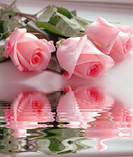 Pink Gif