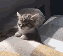 Sleepy Gif