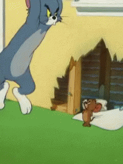 Tom and Jerry Gif