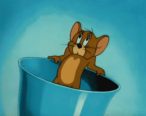Tom and Jerry Gif