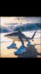 Tralalelo Tralala Gif
