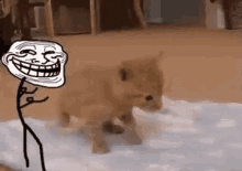 Troll Face Gif