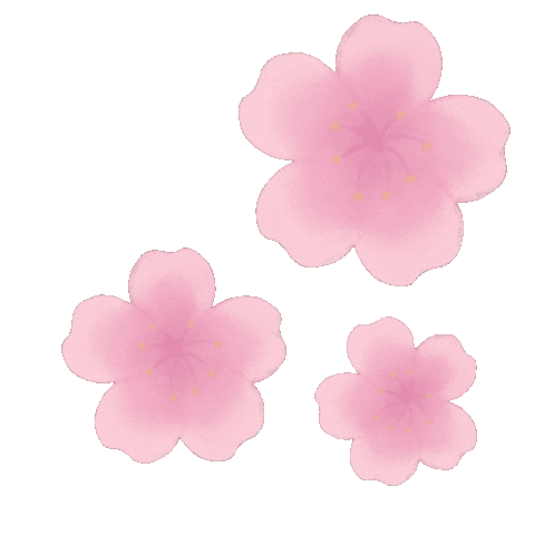 Cherry Blossom Gif