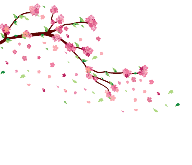 Cherry Blossom Gif