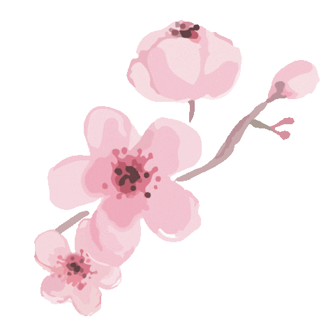 Cherry Blossom Gif