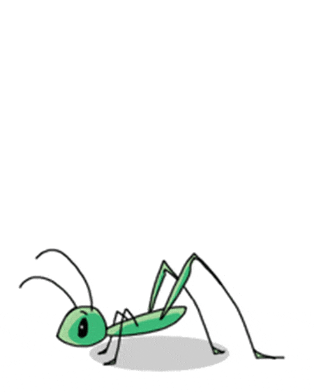 Crickets Gif Crickets Gif