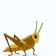 Crickets Gif