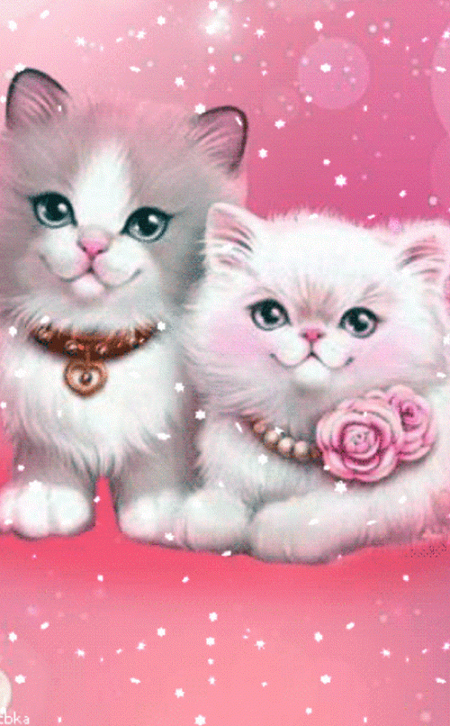 Cute Gif