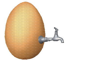 Egg Gif