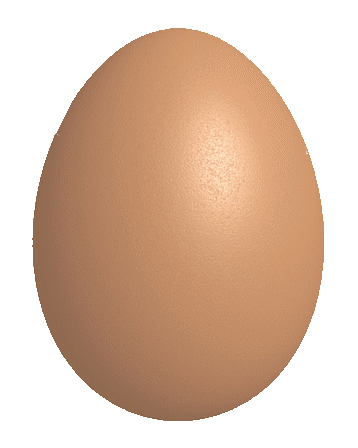 Egg Gif