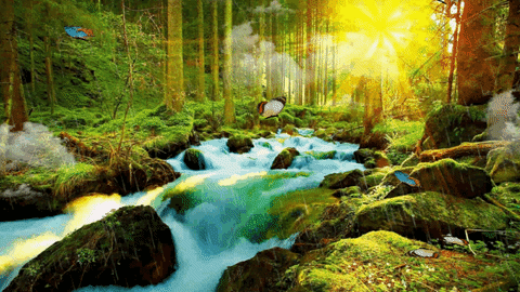 Forest Gif