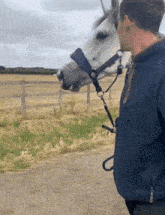 Horse Gif