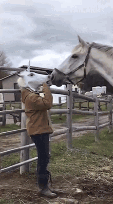 Horse Gif