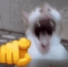 Laughing Gif