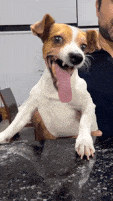 Laughing Gif