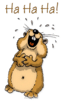 Laughing Gif