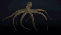 Octopus Gif