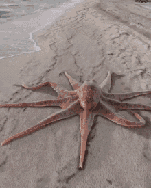 Octopus Gif