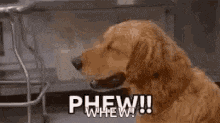 Phew Gif
