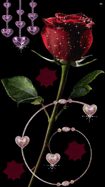 Rose Gif