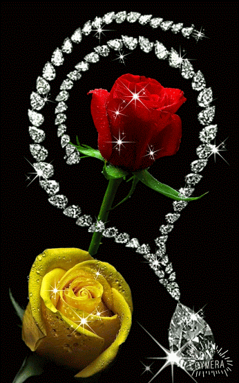 Rose Gif