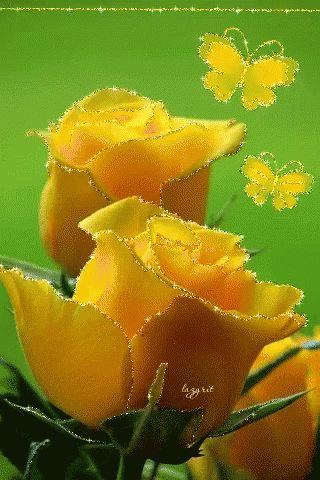 Rose Gif