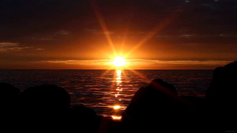 Sunset Gif