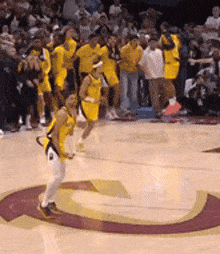 Tyrese Haliburton Gif