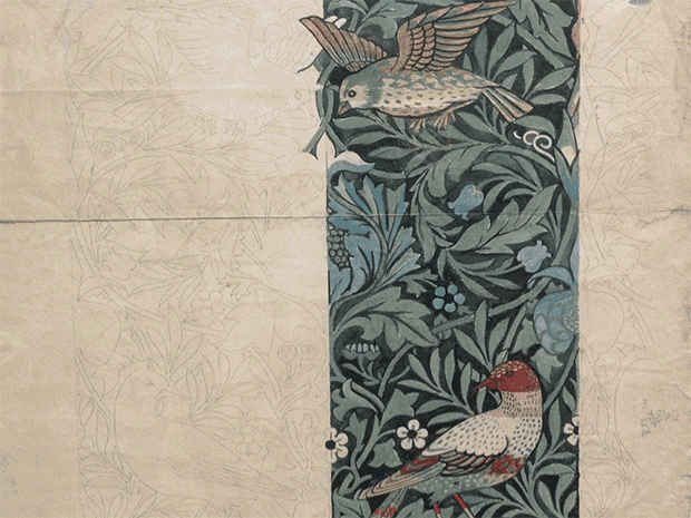 William Morris Gif