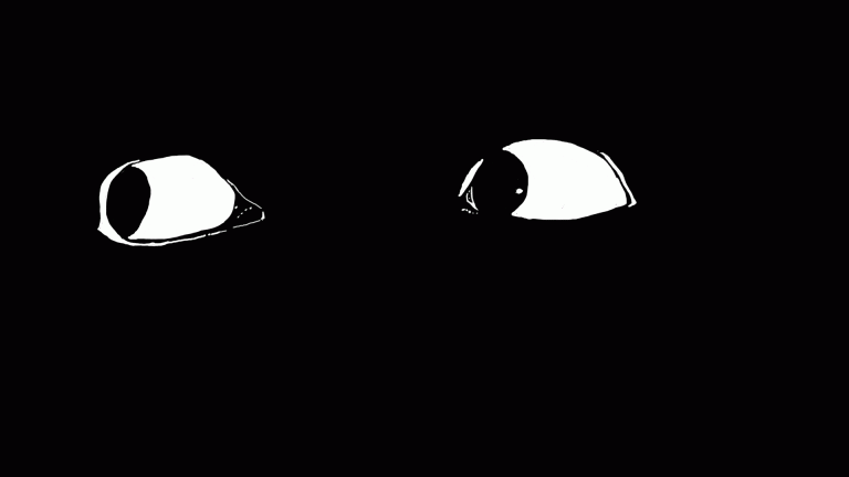 Black Animated GIF