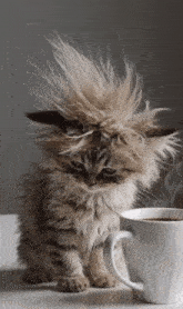 Coffee Gif