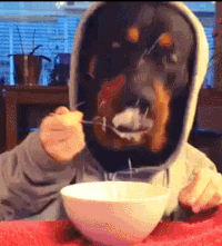 Eat Gif